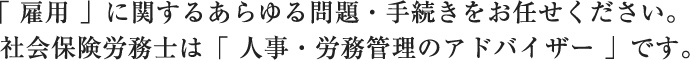 「雇用」に関するあらゆる問題・手続きをお任せください。社会保険労務士は「人事・労務管理のアドバイザー」です。