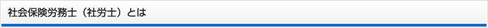 社会保険労務士（社労士）とは